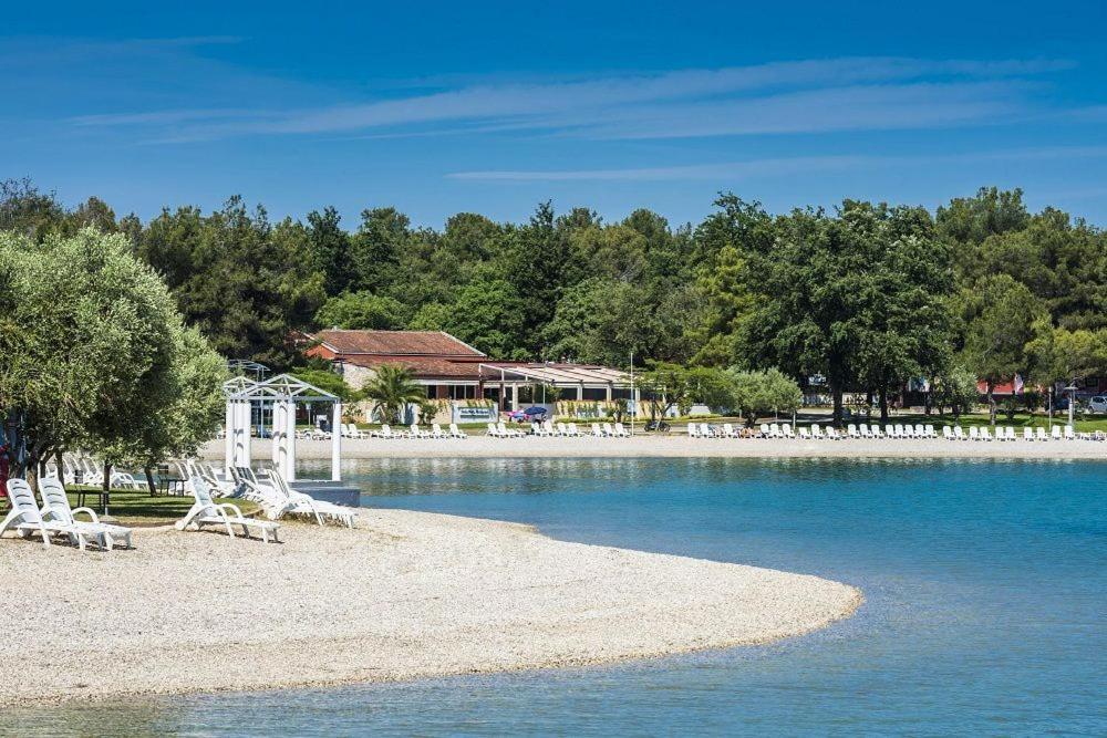 Apartment Violetta-Punta Umag Eksteriør billede